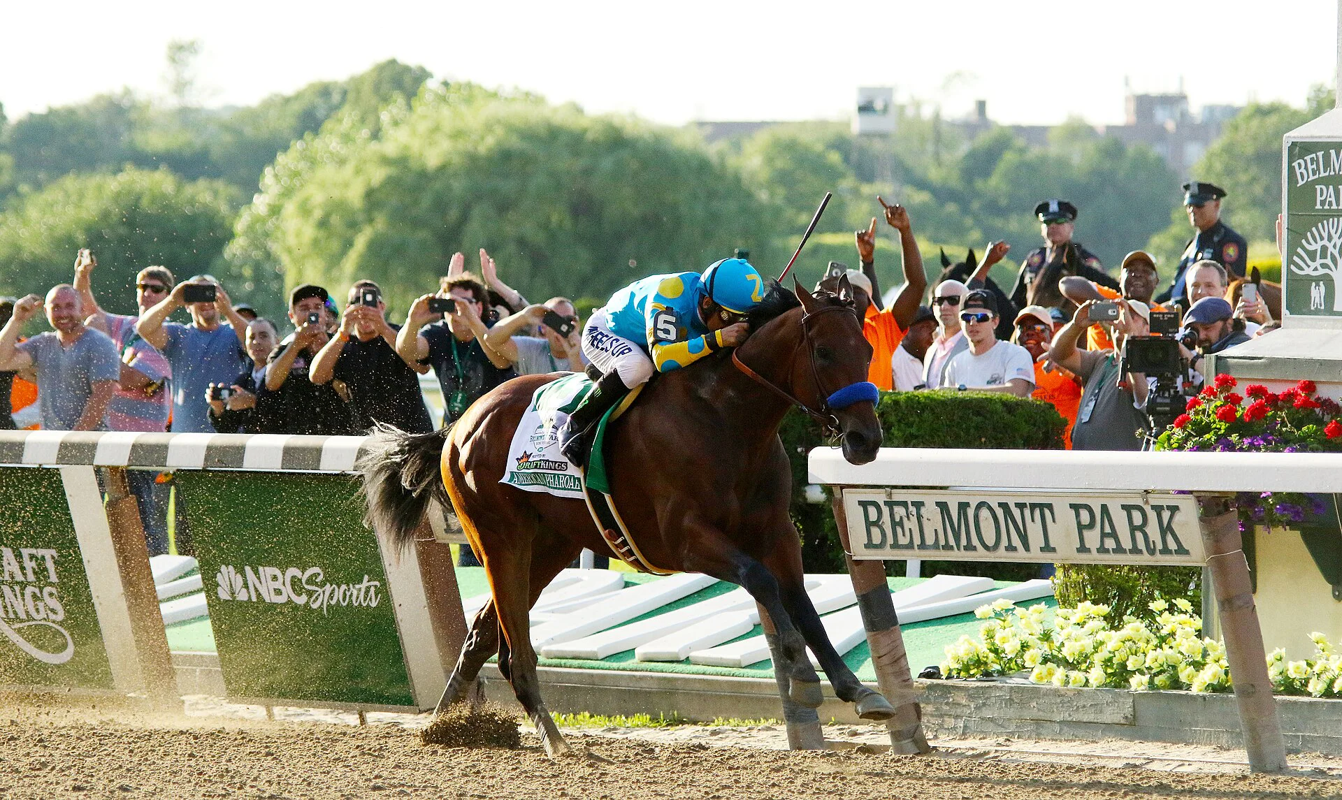 American Pharoah and jockey Victor Espinoza racing past the Belmont Park crowd to win the 2015 Belmont Stakes.