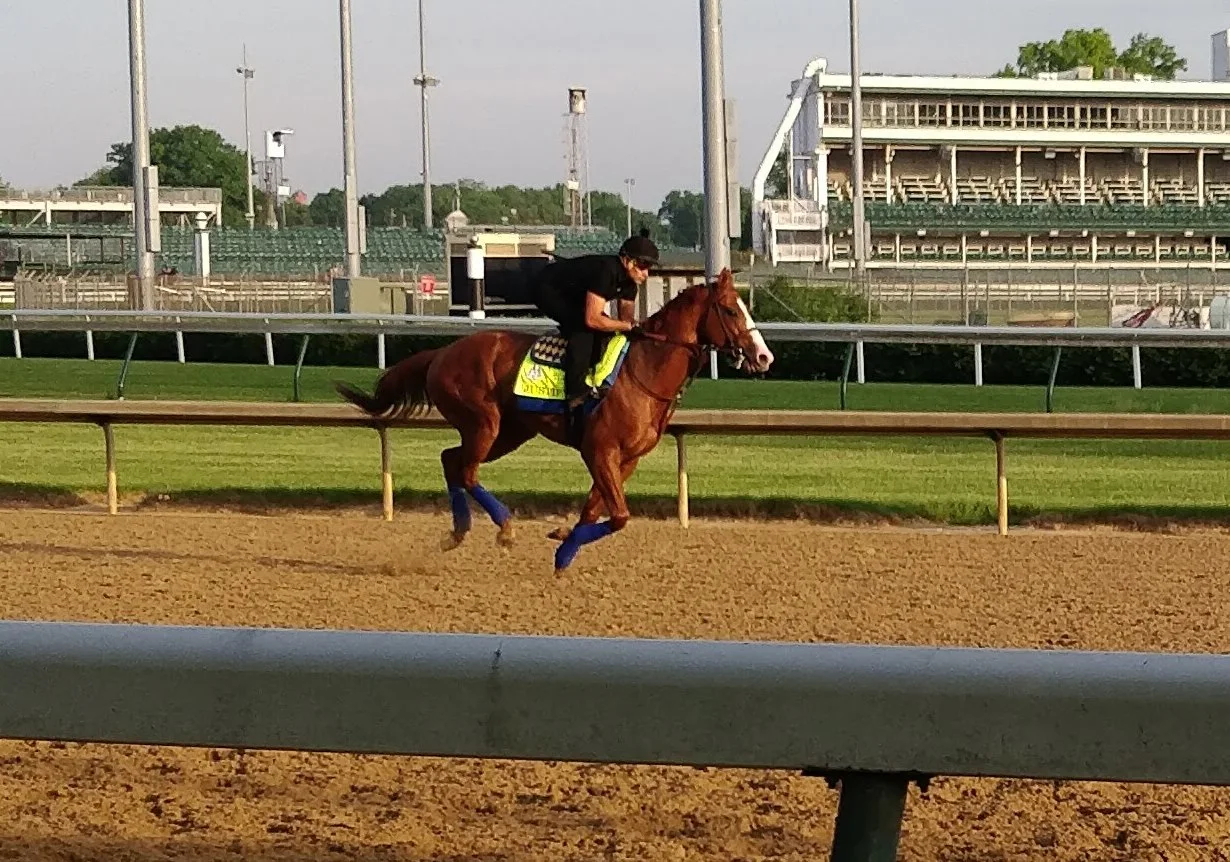 Justify galloping during a morning workout before the 2018 Preakness Stakes.